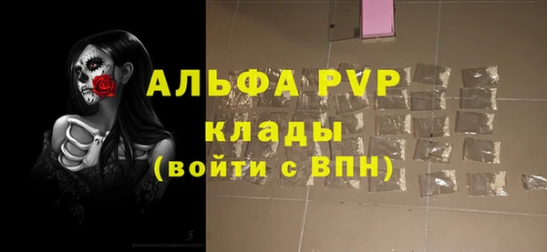 стаф Елабуга