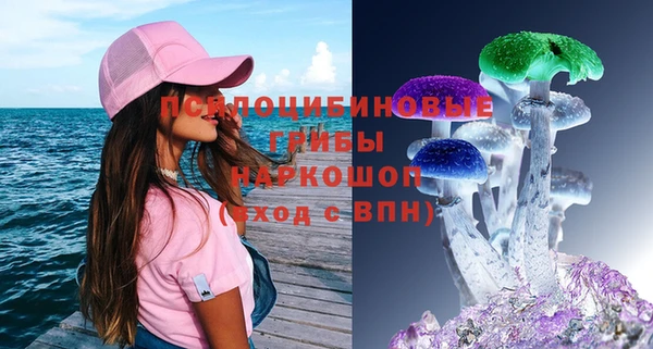 стаф Елабуга