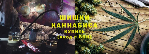 мет Ельня