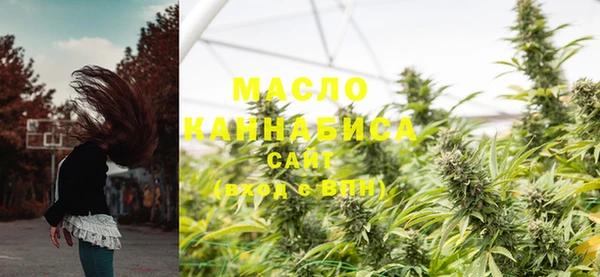 мет Ельня
