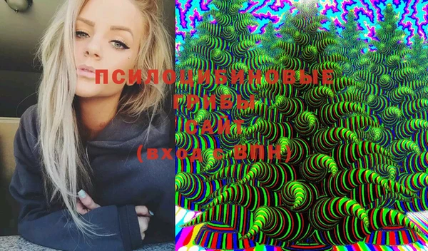 стаф Елабуга