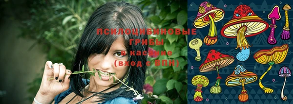 стаф Елабуга
