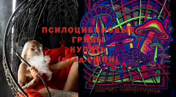 стаф Елабуга