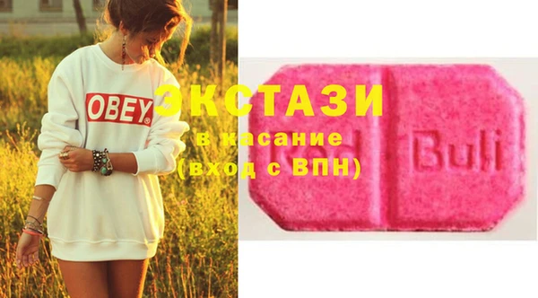 мет Ельня