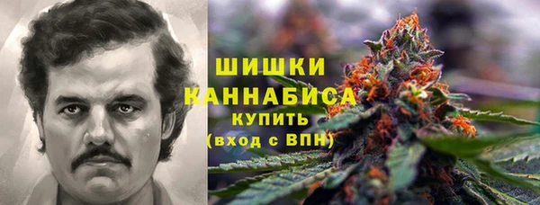 мет Ельня